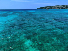 OKINAWA BLUE