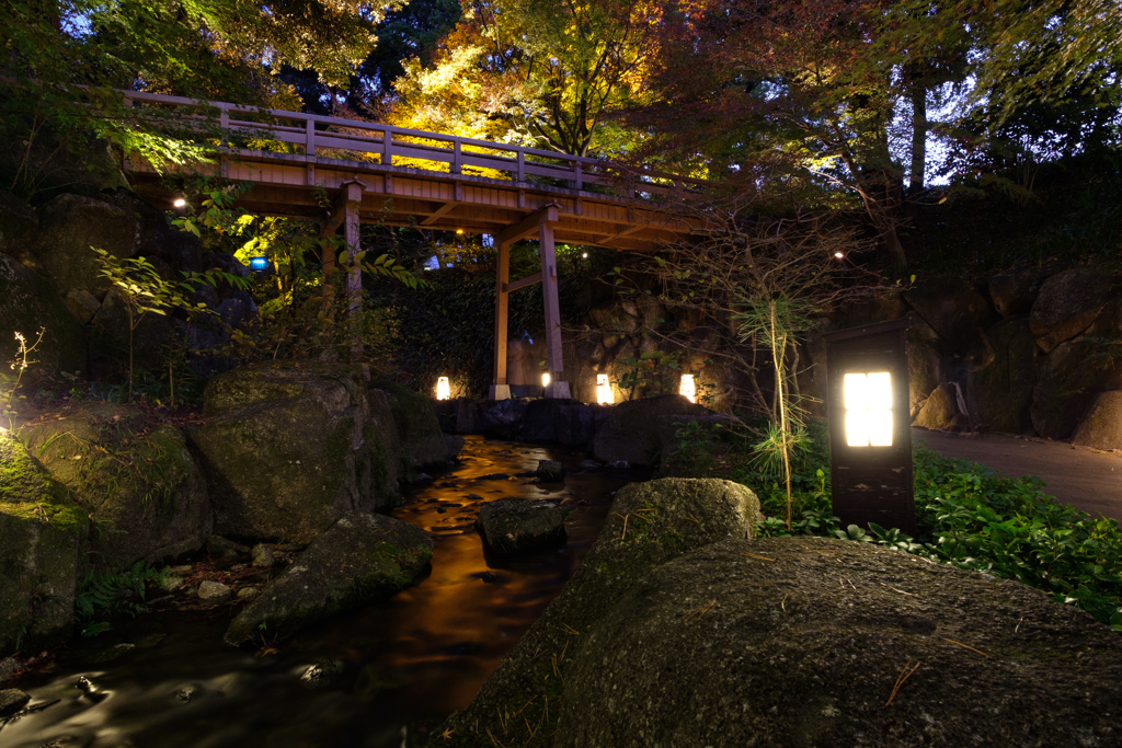 夜の徳川園