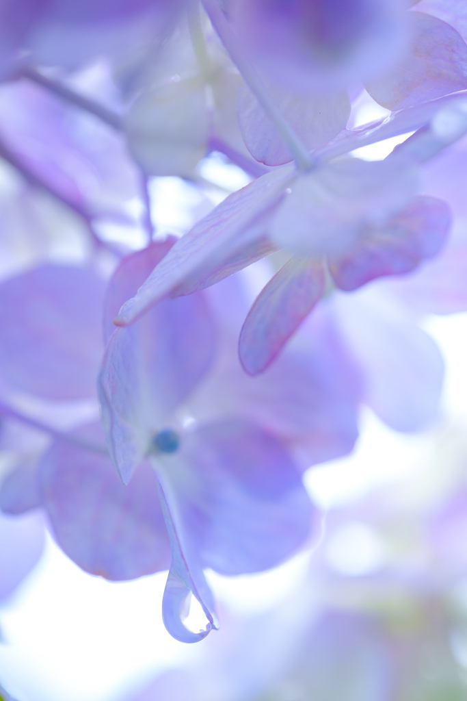 雨の合間に公園散歩04