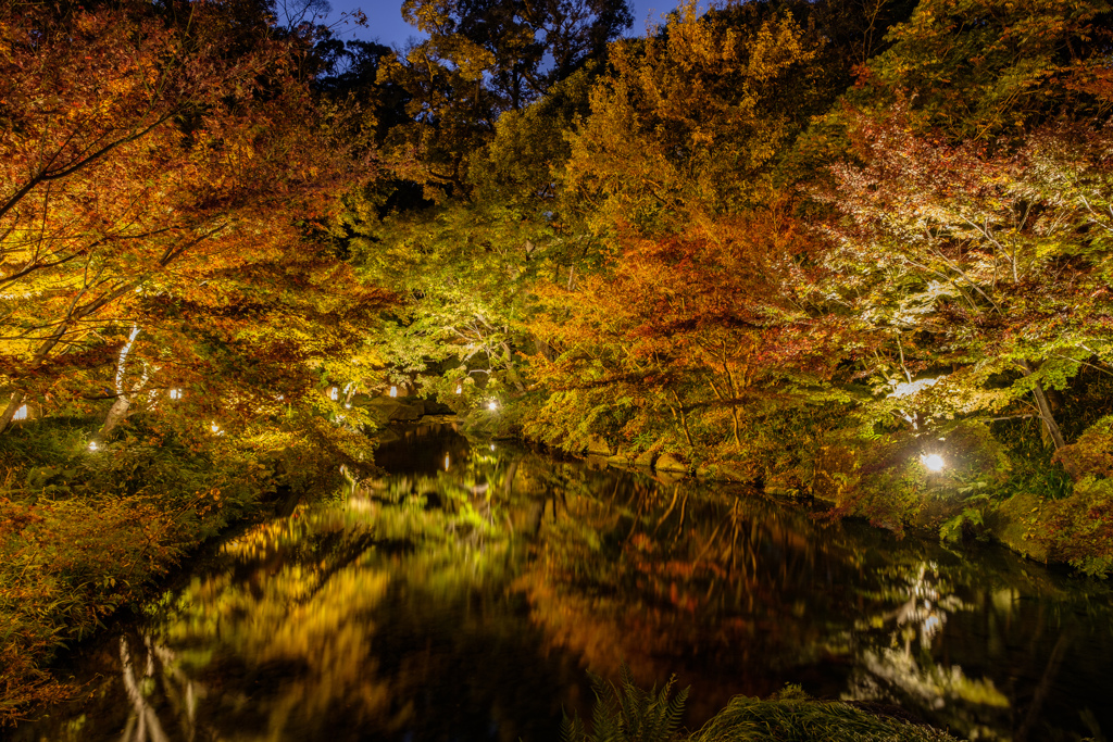 夜の徳川園