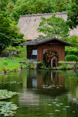 水車小屋と茅葺屋根