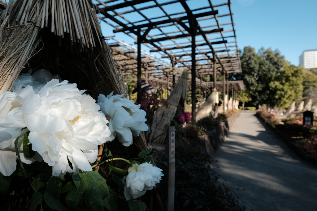 徳川園散歩写真09