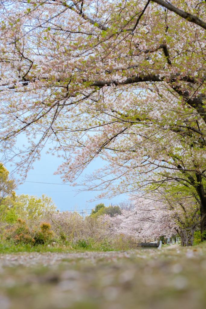 見納め