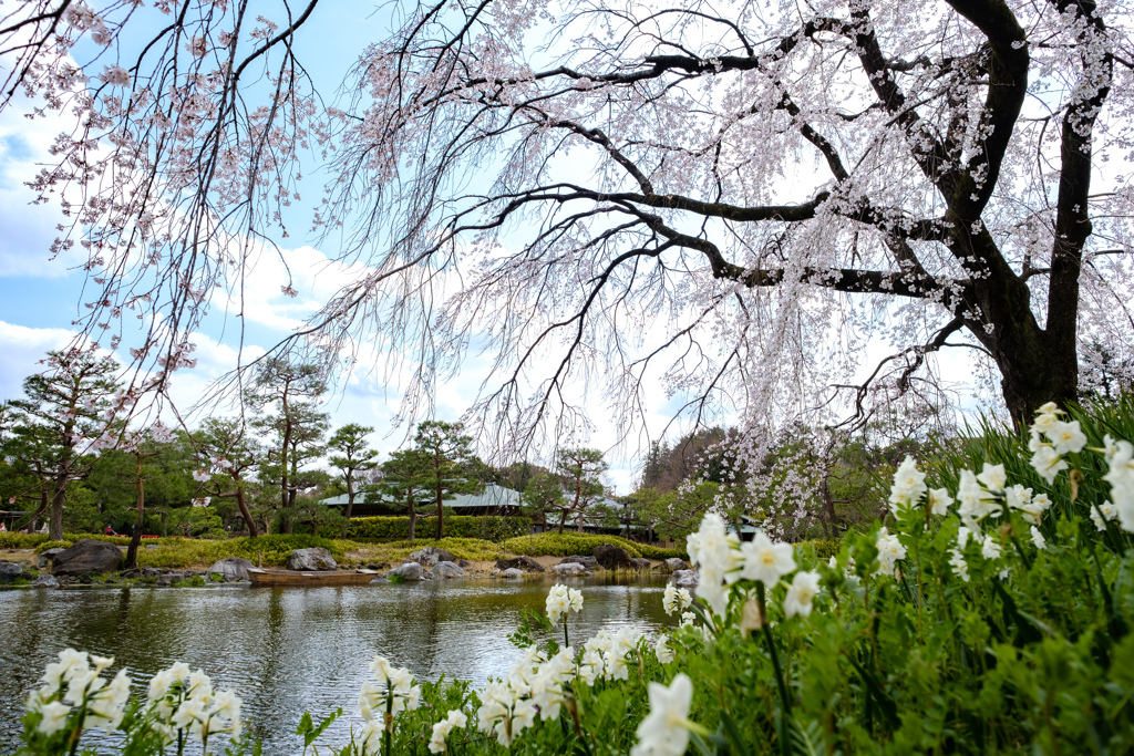 白鳥庭園にて10