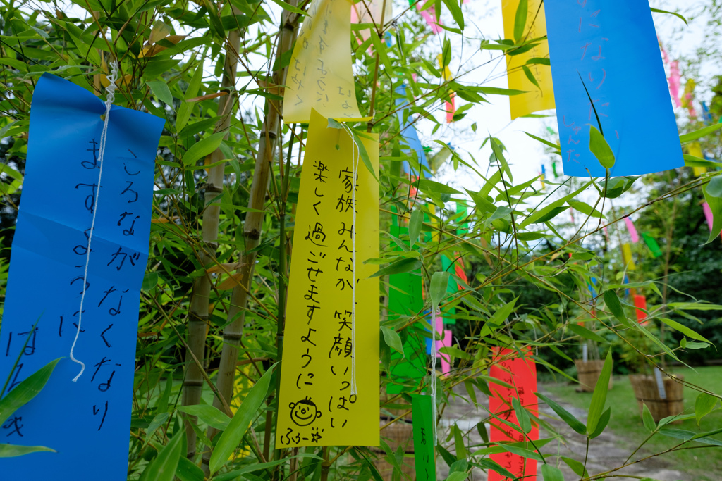 願い