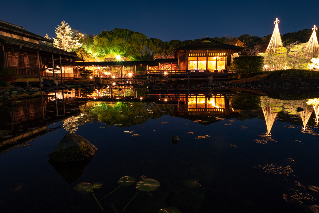 白鳥庭園 紅葉ライトアップ11