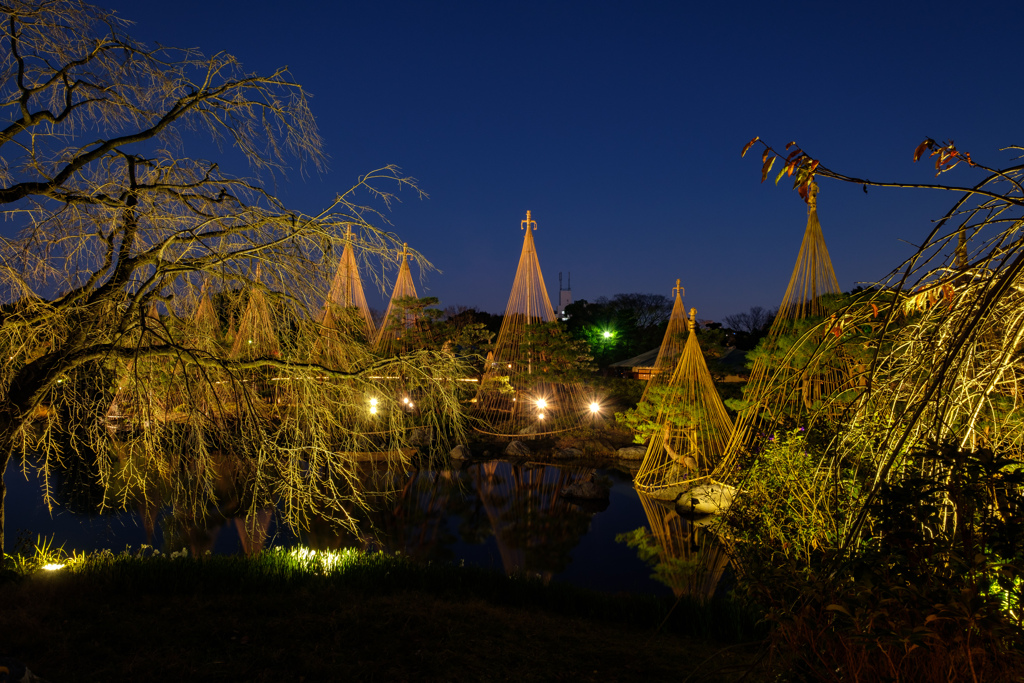 白鳥庭園 紅葉ライトアップ02