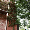 ノリタケの森9