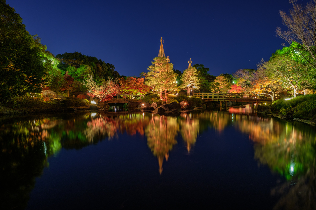 白鳥庭園 紅葉ライトアップ14