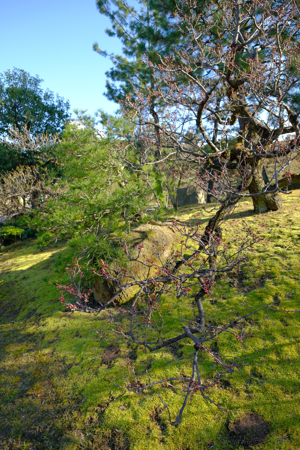 徳川園散歩写真03