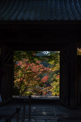 円覚寺総門からの紅葉