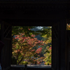 円覚寺総門からの紅葉