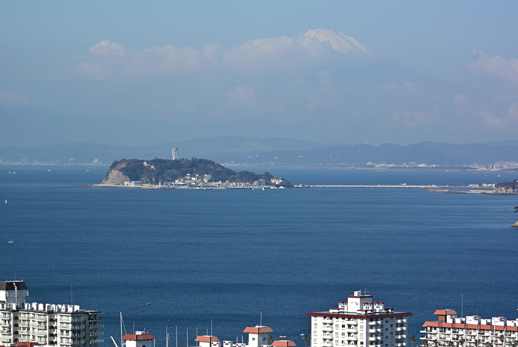 披露山公園から江の島を望む