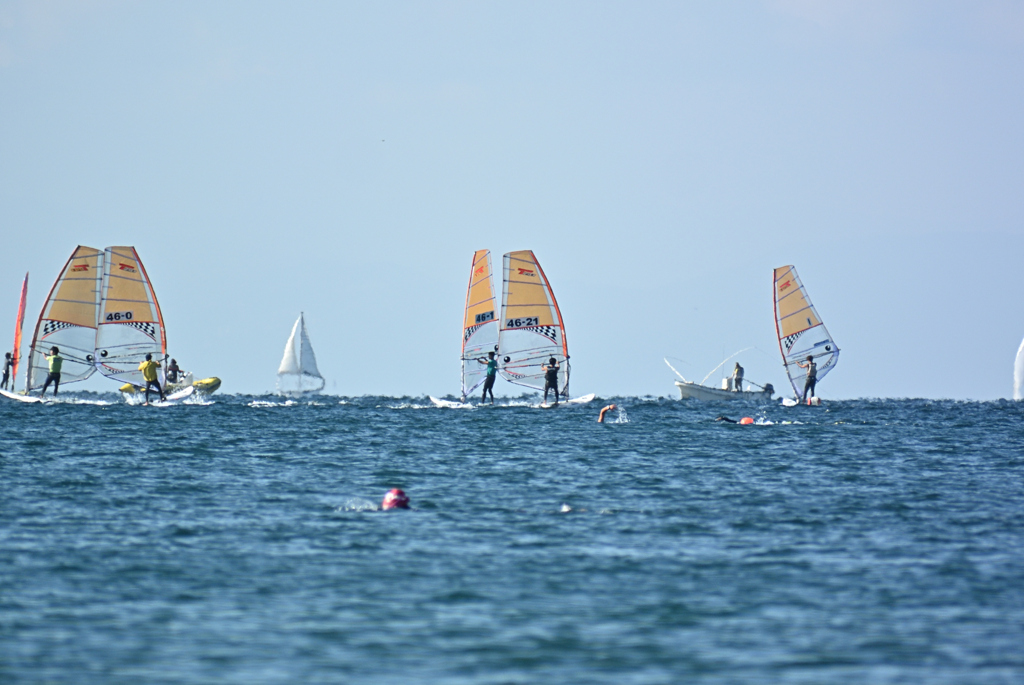 逗子海岸のウィンドサーフィン