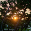 夕陽
