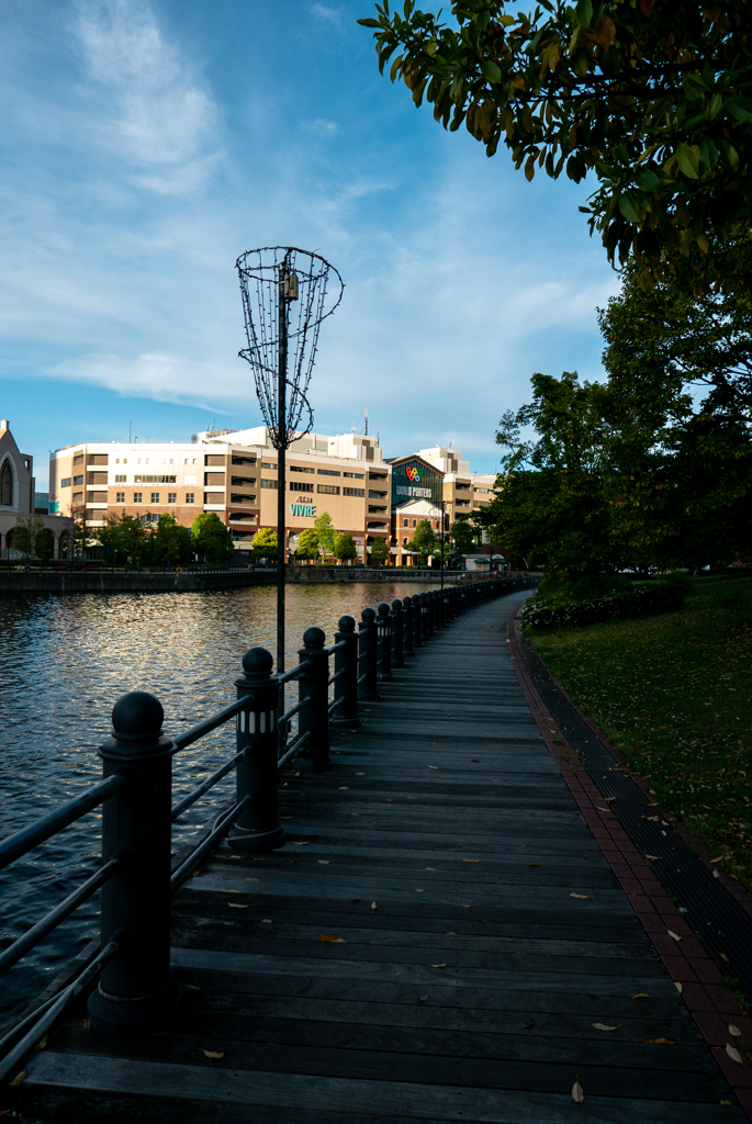 みなとみらい公園遊歩道