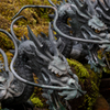九頭竜の神
