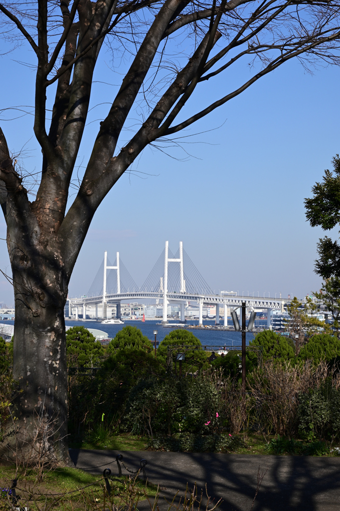 横浜ベイブリッジ