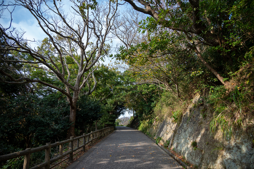 披露山公園入り口