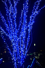 イルミネーション