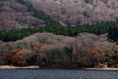 芦ノ湖からの紅葉