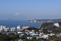 披露山からの富士