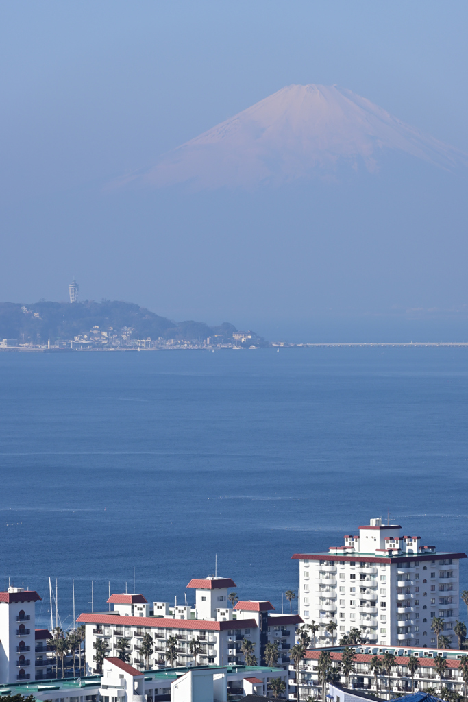 富士と江の島