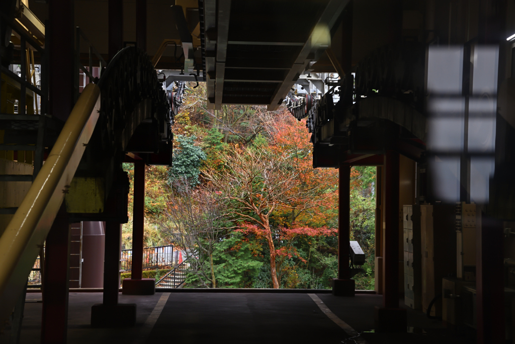 ロープウェイ乗り場からの紅葉
