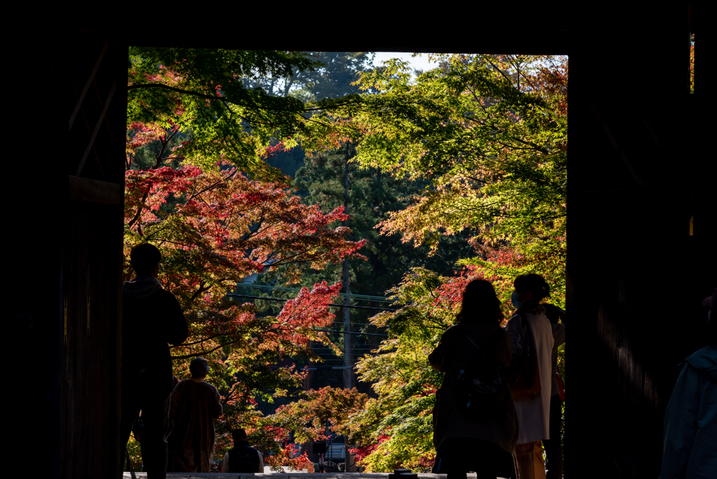 円覚寺総門からの紅葉