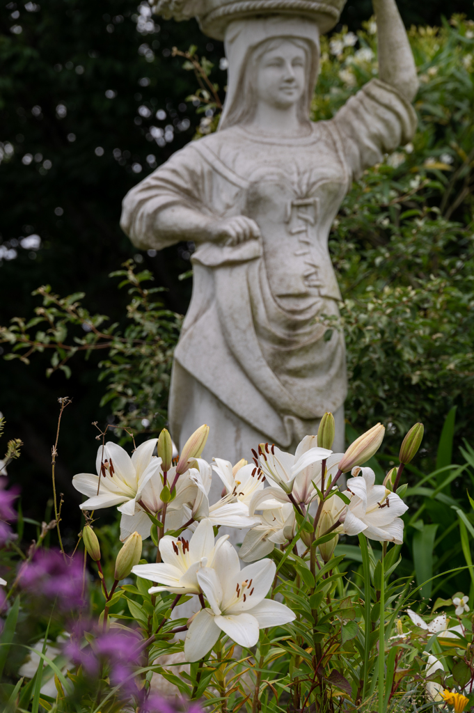 ユリと女神