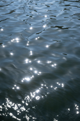 水面の光
