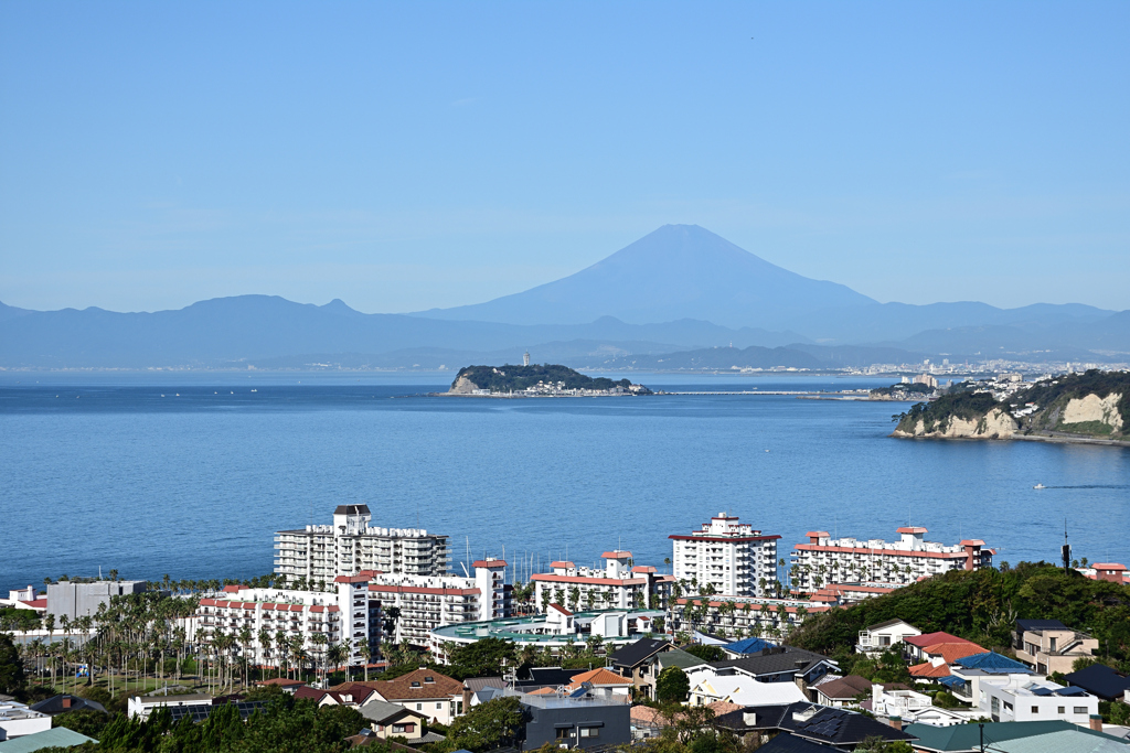 快晴の披露山からの江ノ島・富士山