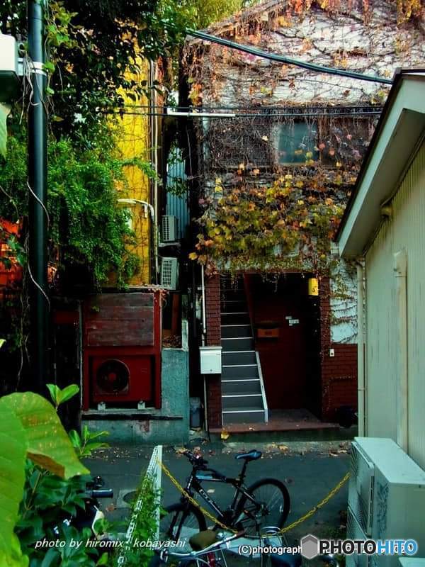 原宿