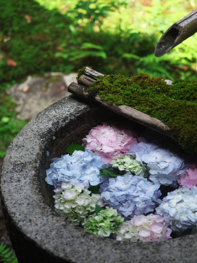 花手水その２