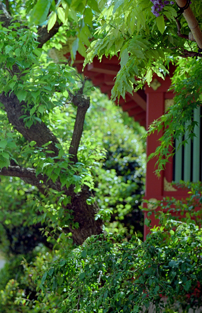 神社