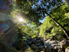 袋田の滝付近の荒々しい渓谷にて