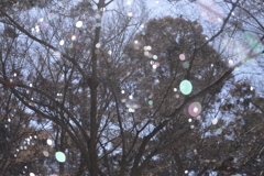 光の雨