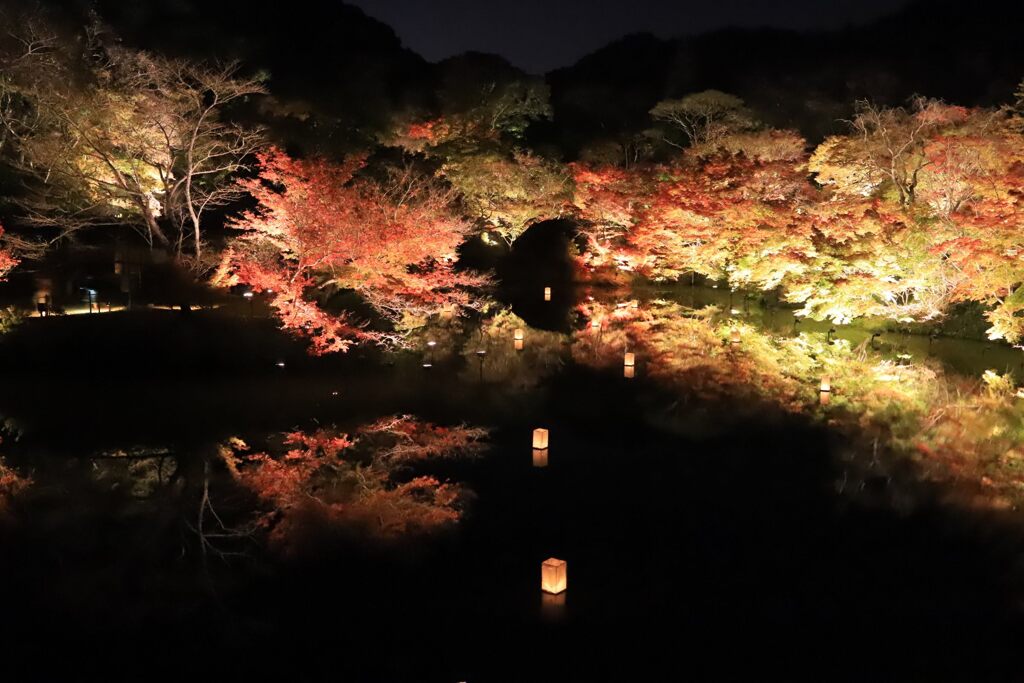 吸い込まれそう。