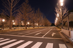 皇居を臨む