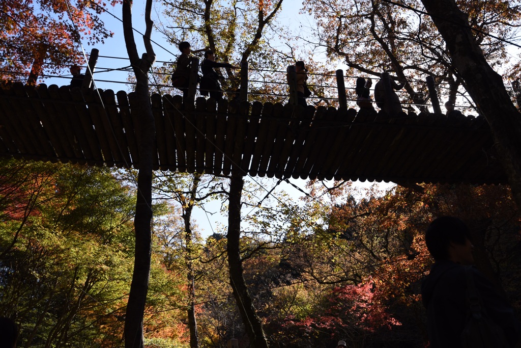 見上げて