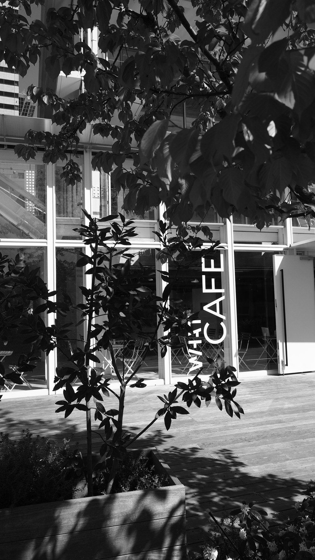 CAFE