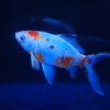 墨田の金魚②
