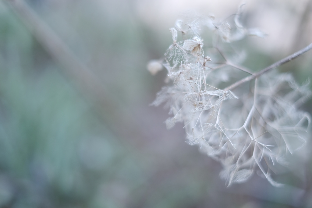 Fade Out