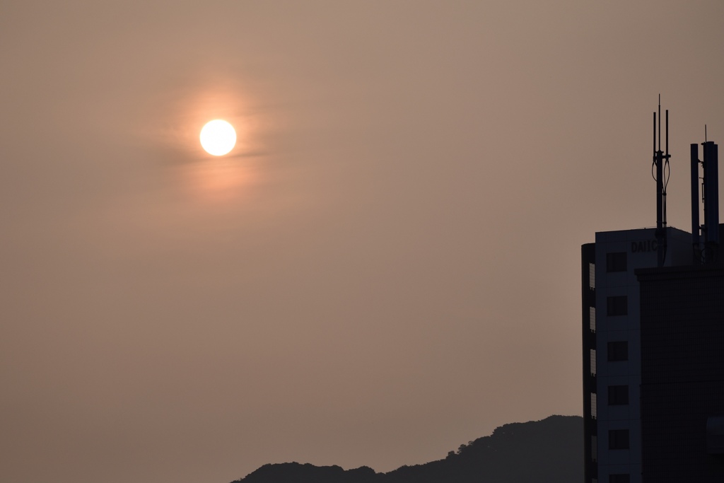 今朝の静かな太陽
