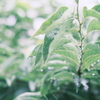 雨上がり*:･ﾟ✧