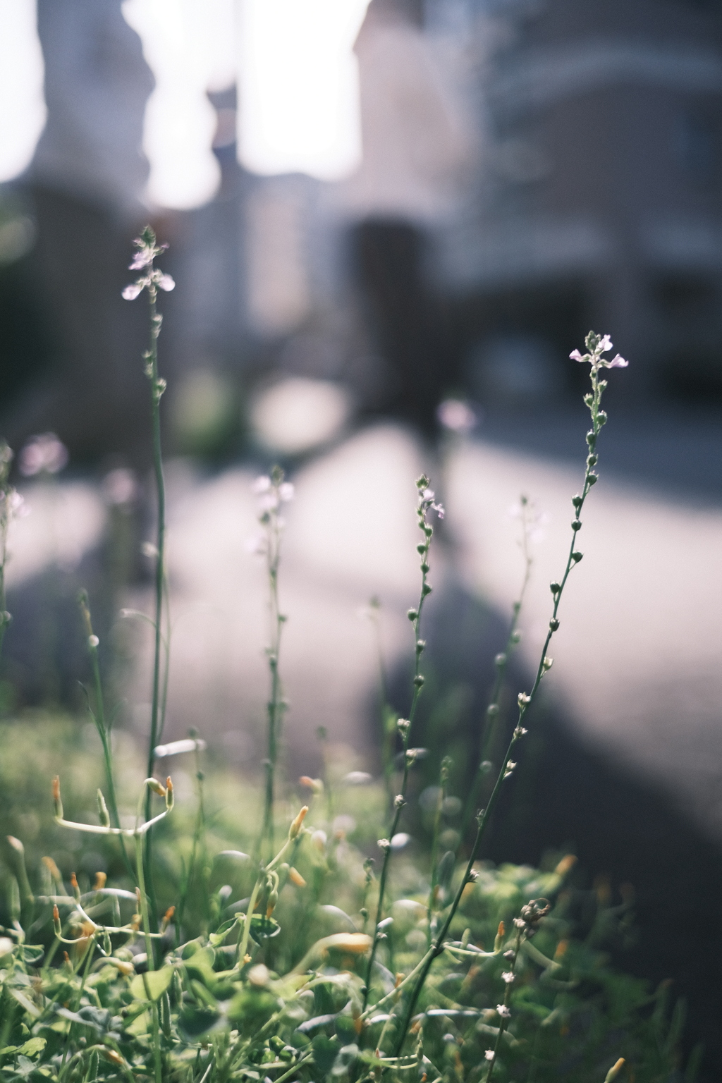 Walk