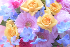 届いたお花♡