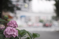 intersection