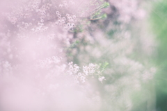 風に吹かれて