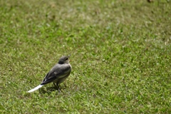 大きくあけて♬